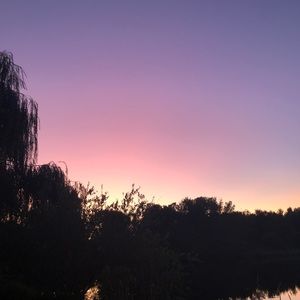 Meet your Posher, Dani